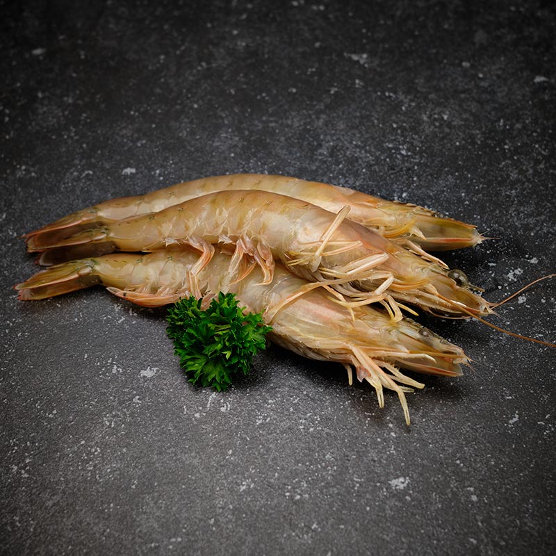 Gamba's ongepeld