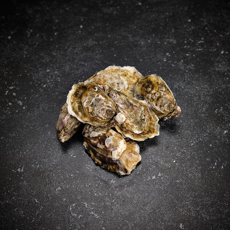 Oesters Gillardeau