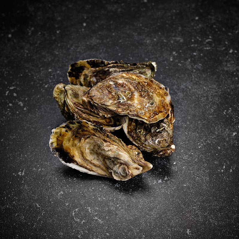 Oesters Normandië