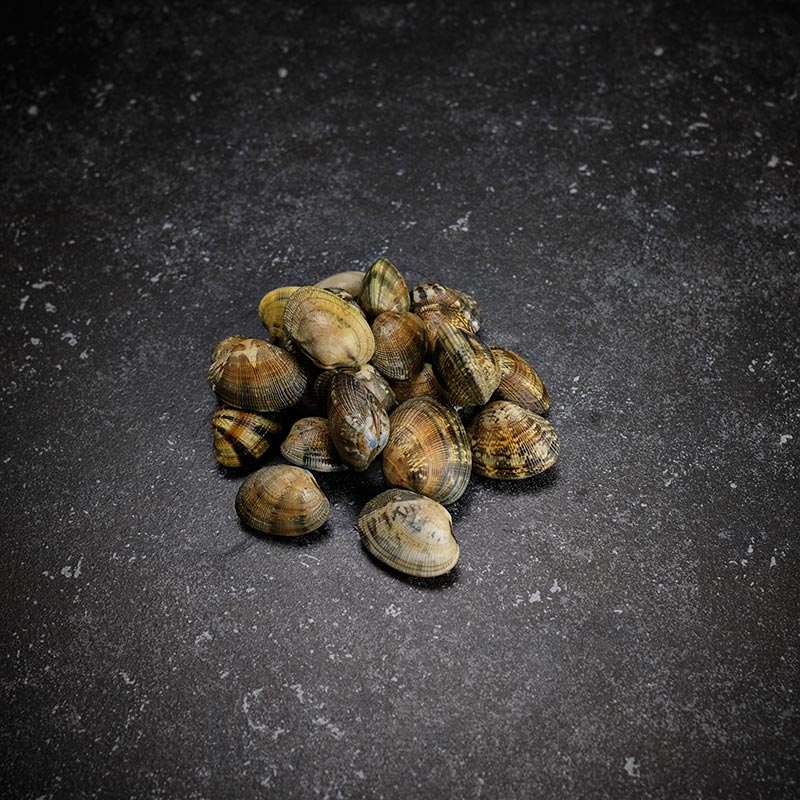 Vongole